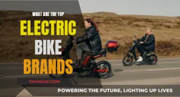 Best Electric Bike Brands: Top Performers Reviewed