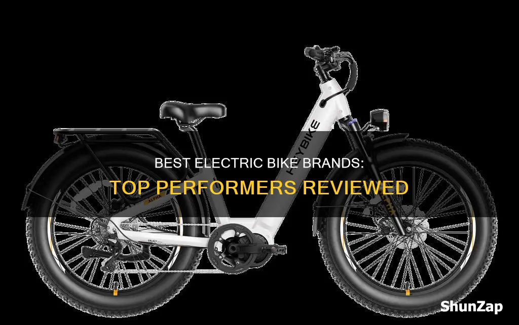 what are the top electric bike brands