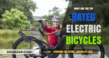 Best Electric Bicycles: Top-Rated Picks for Every Rider