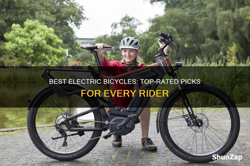 what are the top rated electric bicycles