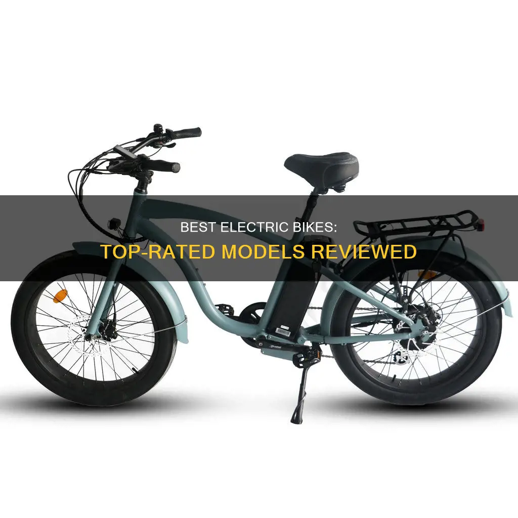 what are the top rated electric bikes