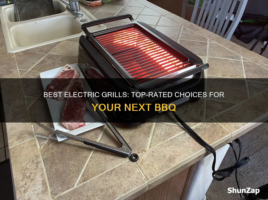 what are the top rated electric grills