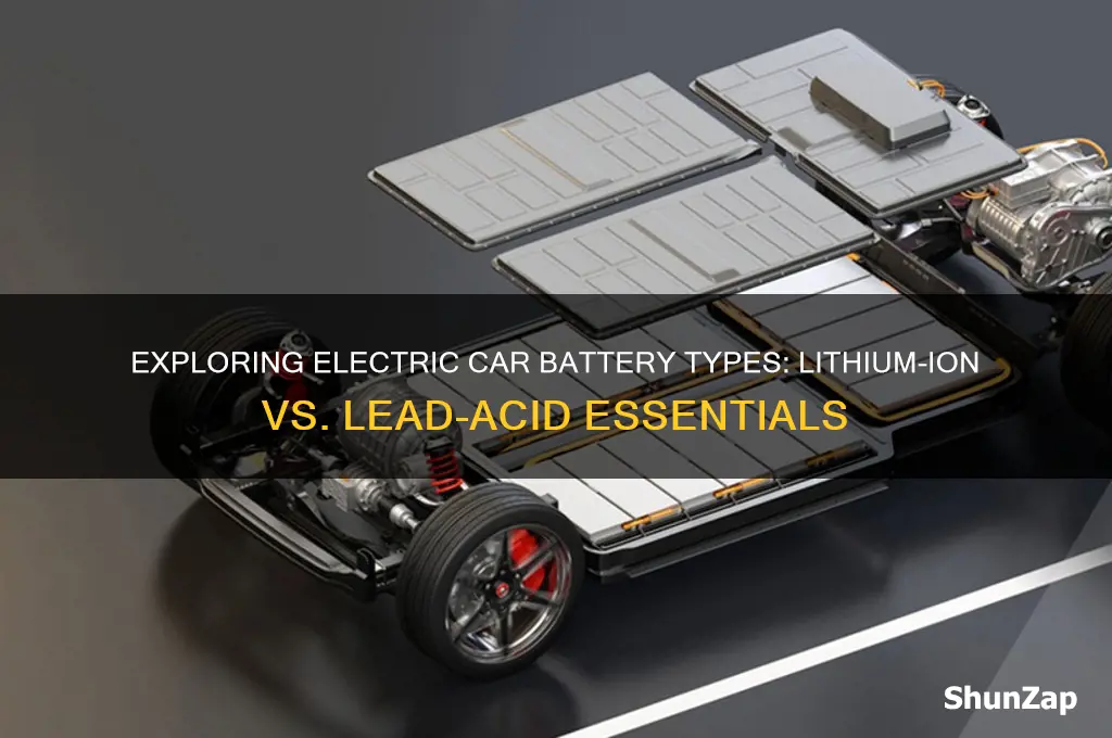 what are the two basic types of electric car batteries