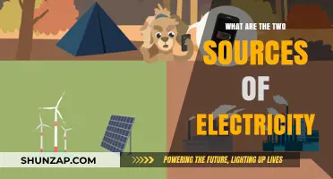 Electricity's Two Sources: Powering Our World