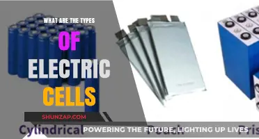 Electric Cell Types: Understanding the Power Sources