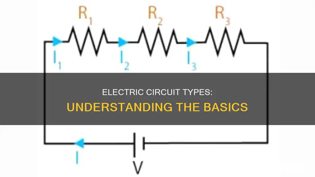 what are the types of electric circuit