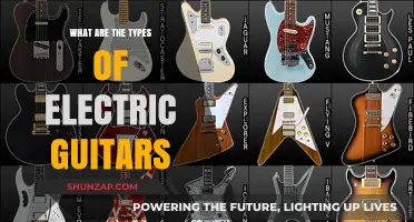 Electric Guitar Types: Exploring the Spectrum