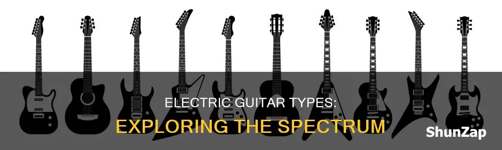 what are the types of electric guitars
