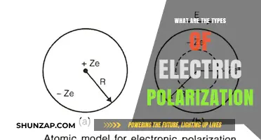 Electric Polarization: Understanding Different Types and Their Nature