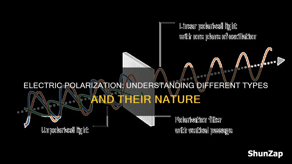 what are the types of electric polarization