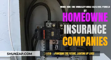 Electric Panels: Insurance Companies' Unacceptable Homeowner Standards