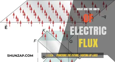 Understanding Electric Flux: Units and Measurements