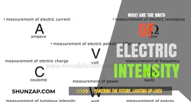 Understanding Electric Intensity: Units and Measurements
