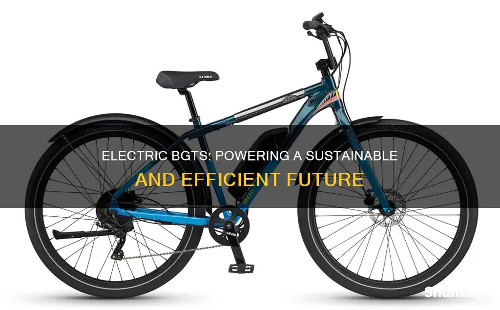 what are the usage of electric bgts