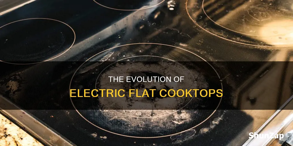 what are those electric flat cooktops called