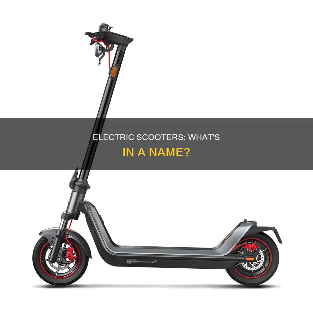 what are those electric scooter things called