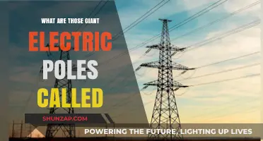 The Mystery of Giant Electric Poles: What's Their Name?