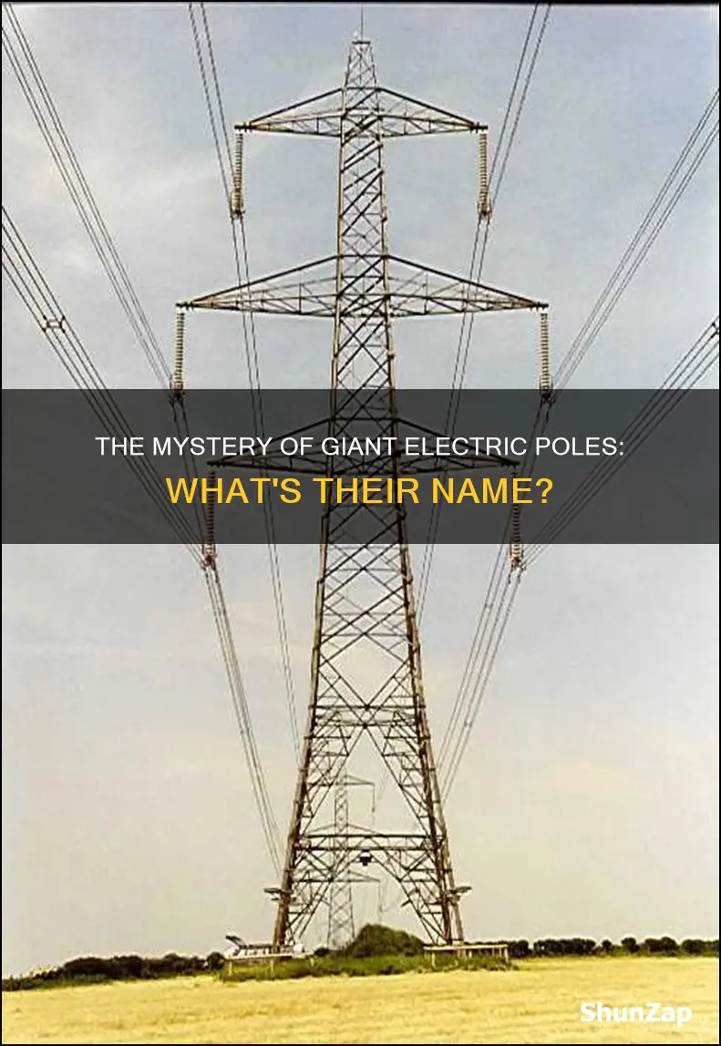 what are those giant electric poles called