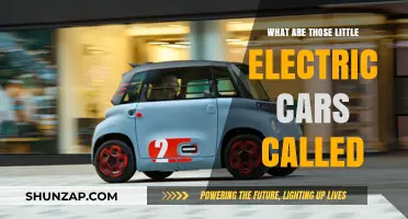 Exploring the World of Compact Electric Vehicles: What Are They Called?
