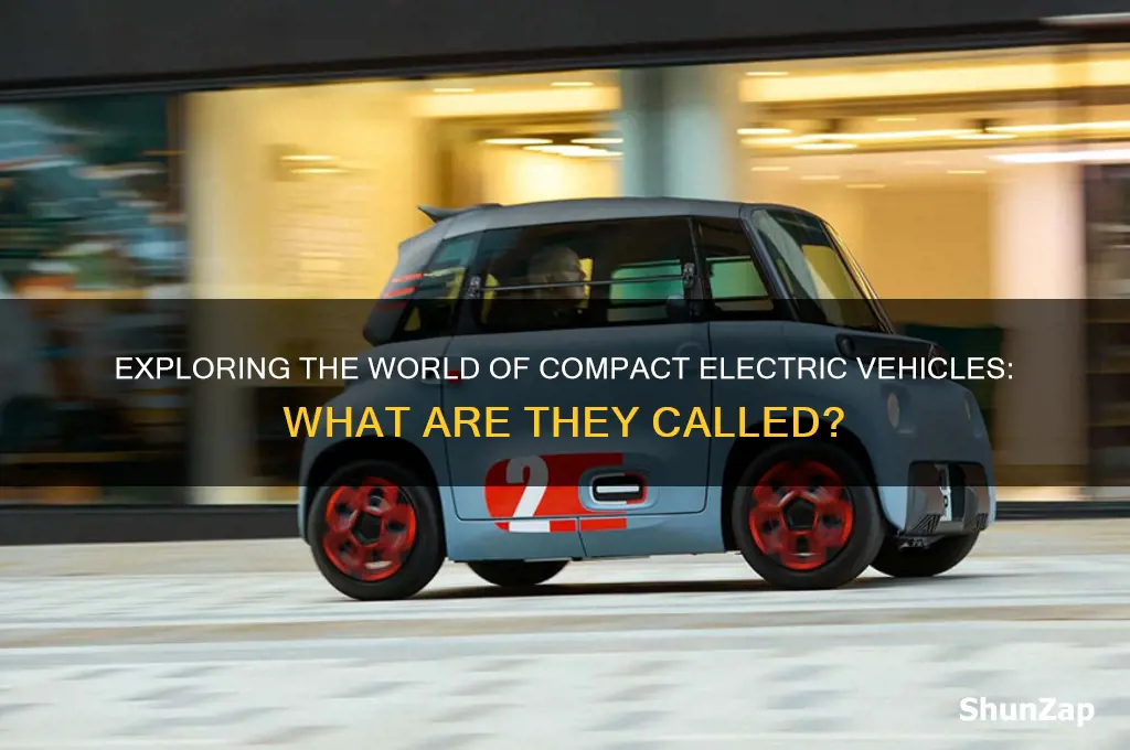 what are those little electric cars called
