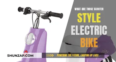 The Rise of Electric Scooters: Bike-Style Revolution