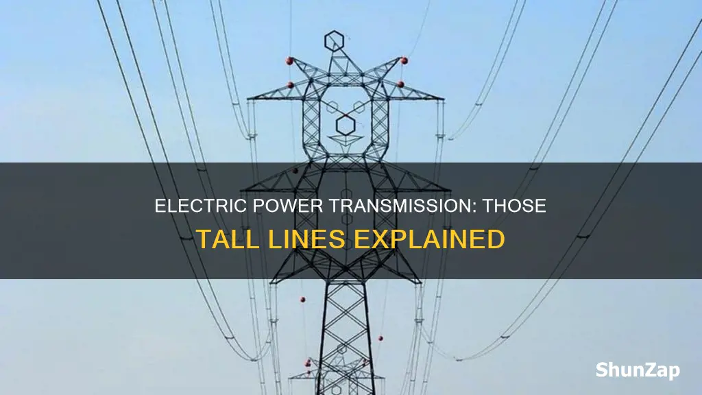 what are those tall electric lines called