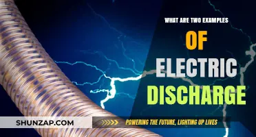 Electric Discharge Examples: Lightning and Spark