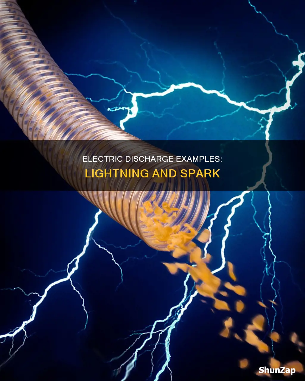 what are two examples of electric discharge