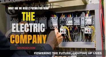 Electric Company Costs: What's Included in Our Bills?