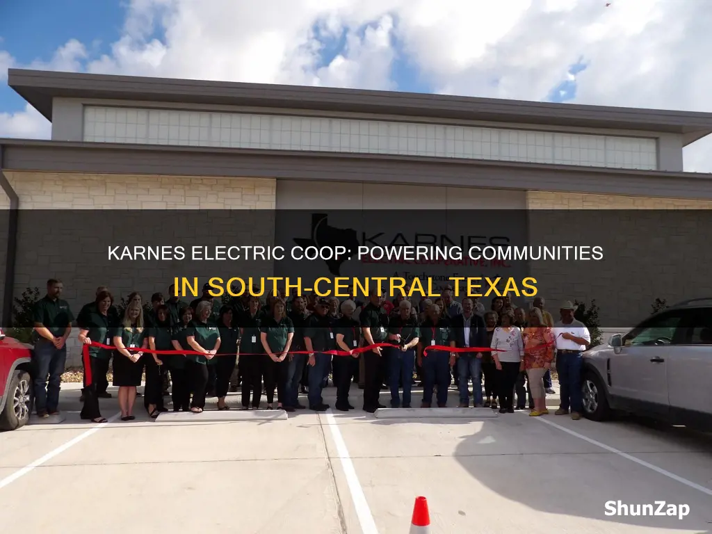 what area does karnes electric coop serve