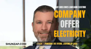 Lakeland Electric Company: Powering the Sunshine State's Heartland