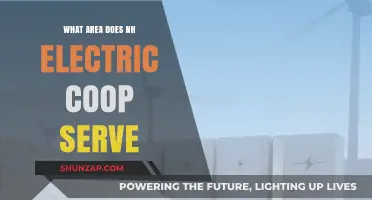 Electric Co-op Service Areas in New Hampshire
