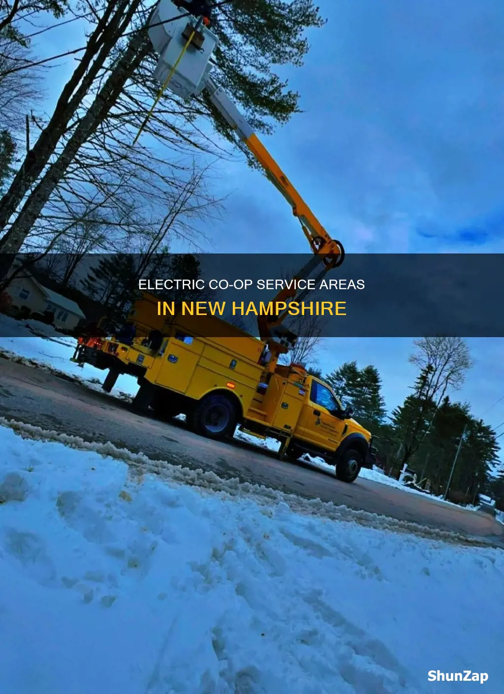 what area does nh electric coop serve