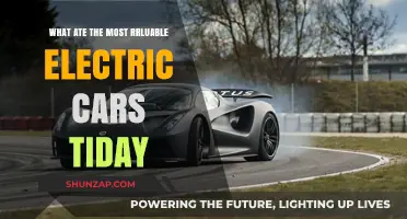 Top Electric Cars: Today's Most Valuable and Sustainable Models