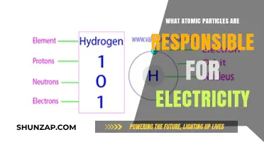 The Charged Particles Behind Electricity