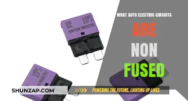 Vital Non-Fused Auto Electric Circuits Explained