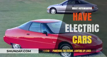 Top Automakers Leading the Electric Vehicle Revolution: Who's Charging Ahead?