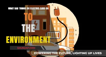 Electric Cars' Environmental Downsides: Pollution, Resource Depletion, and Hidden Costs