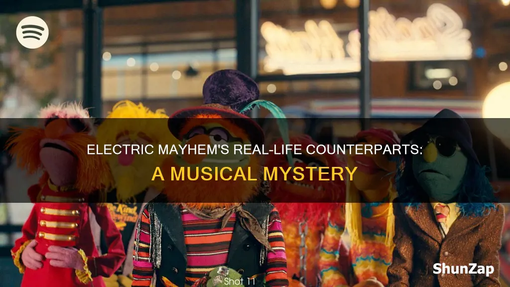 what band is electric mayhem based on