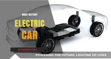 Understanding Battery Electric Cars: Benefits, Technology, and Future Potential