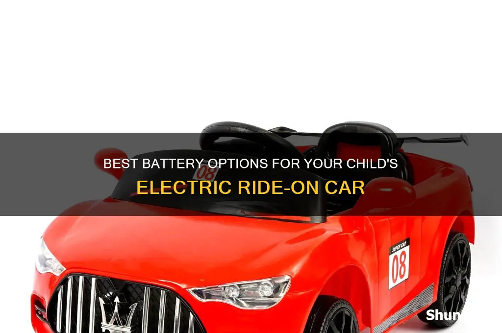 what battery fits in a electric kids car