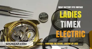 Timex Electric: What Battery Fits Vintage Ladies' Watches?