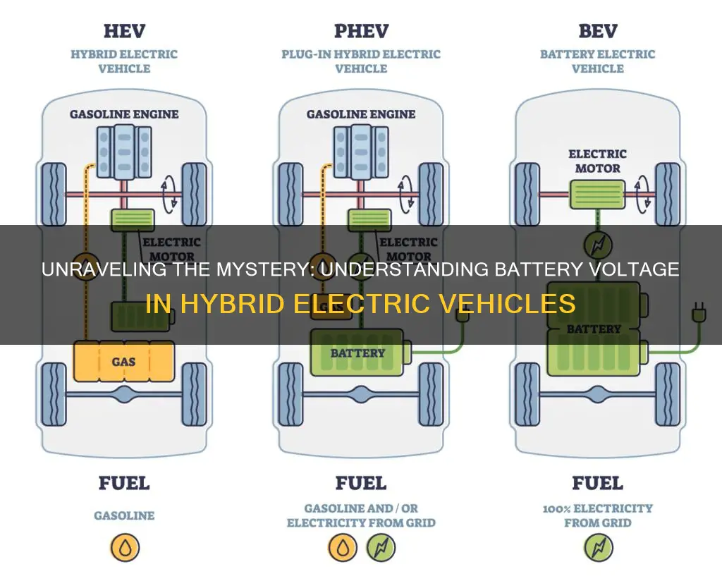 what battery hev voltage in a hybrid electric vehicle