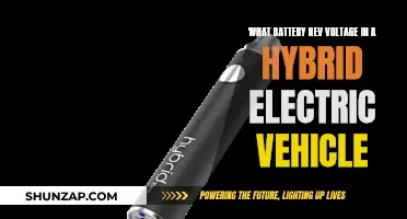 Battery Voltage in Hybrid Electric Vehicles: Understanding the Basics