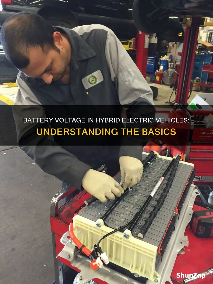 what battery hev voltage in a hybrid electric vehicle