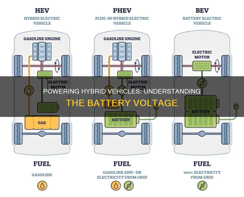 what battery volt is found in a hybrid electric vehicle