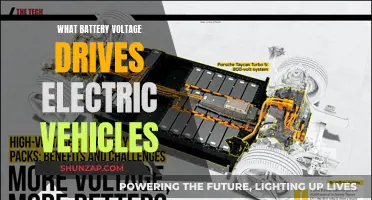 Powering Electric Vehicles: Understanding Battery Voltage and Its Impact