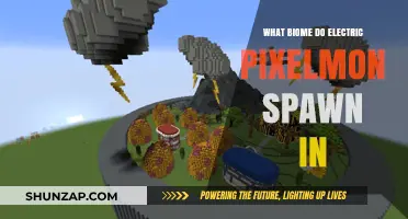 Where to Find Electric Pixelmon: Exploring Biomes