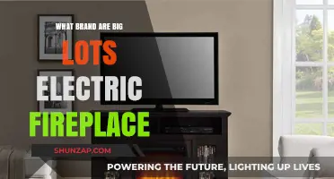 Big Lots Electric Fireplaces: What Brands Are Offered?