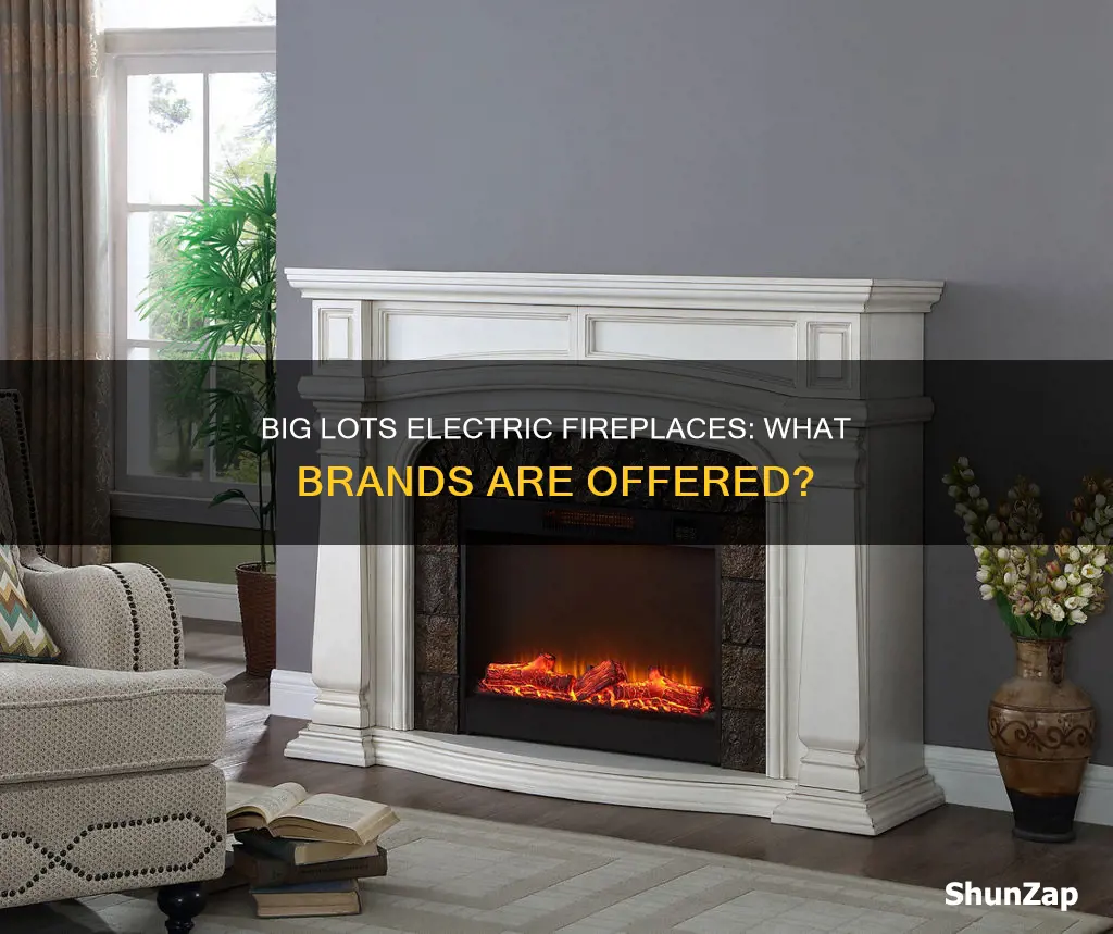 what brand are big lots electric fireplace